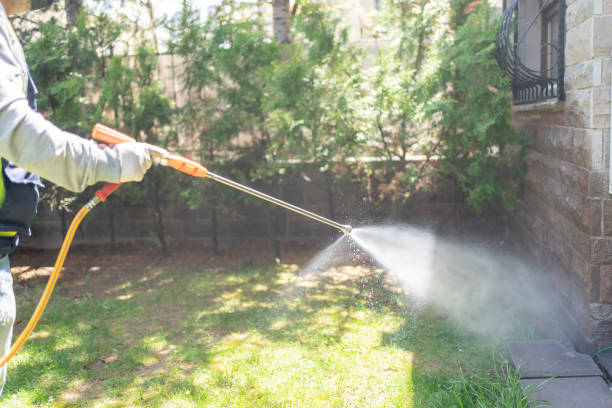 Trusted Hagan, GA Pest Control Experts